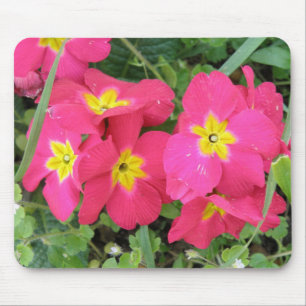 Polyanthus Mousepad