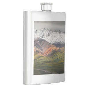 Polychrome-Berg, Denali NP, Alaska Flachmann