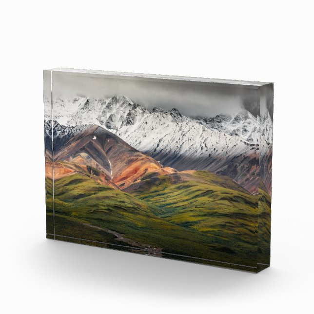 Polychrome-Berg, Denali NP, Alaska Fotoblock (Rechts)