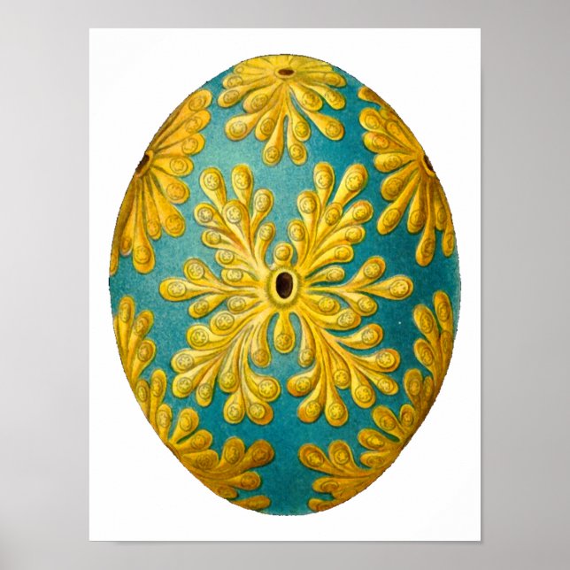 Polyclinum constellatum Ernst Haeckel Kunstmuseum Poster (Vorne)