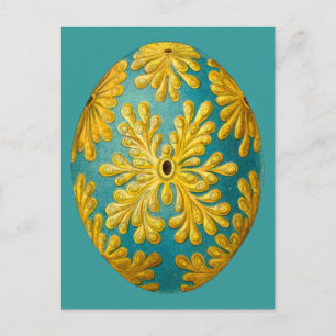 Polyclinum constellatum, Ernst Haeckel Vintag Postkarte