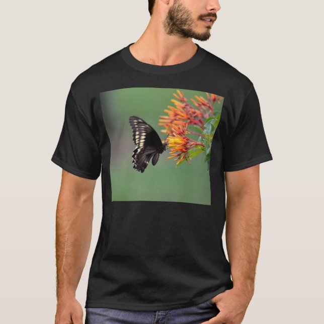 Polydamus Frack-Schmetterling T-Shirt (Vorderseite)