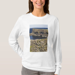 Polygonal basalt, Staffa, vor der Insel Mull, T-Shirt