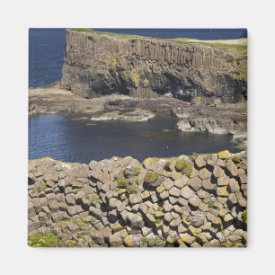 Polygonales Basalt, Staffa, vor Isle of Mull, Magnet