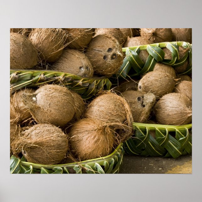 Polynesien, Königreich Tonga. Anzeige von Kokosnüs Poster (Vorne)