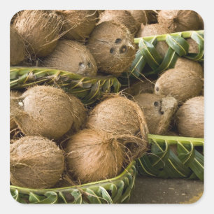 Polynesien, Königreich Tonga. Anzeige von Kokosnüs Quadratischer Aufkleber