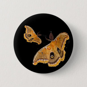 Polyphemus Motten Button