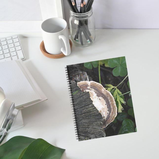 Polypore Fungus auf Baumstumpf Notizbuch (In Situ)