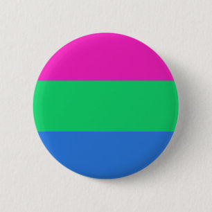 Polysex Pride Flag Button