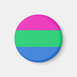 Polysex Pride Flag Magnet