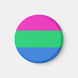 Polysex Pride Flag Magnet