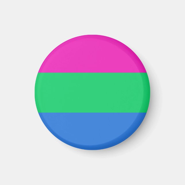 Polysex Pride Flag Magnet (Vorne)