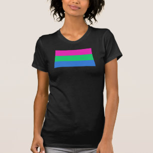 Polysex Pride Flag T-Shirt