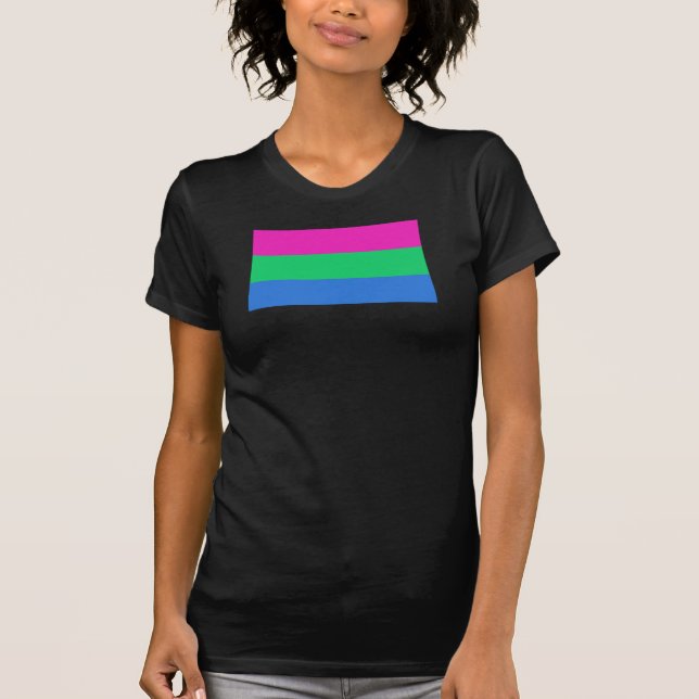 Polysex Pride Flag T-Shirt (Vorderseite)