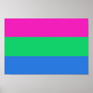 Polysexuelle Pride-Flagge Poster