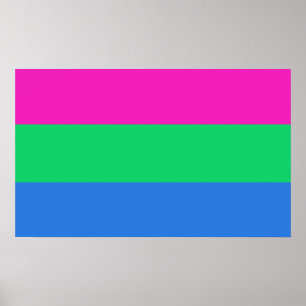 Polysexuelle Pride-Flagge Poster