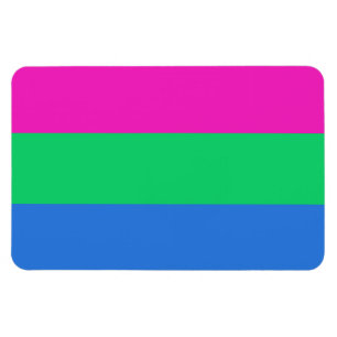 Polysexuelle Stolperflagge Magnet