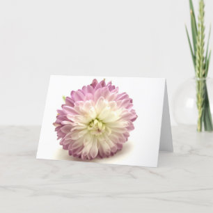 pom pom karte