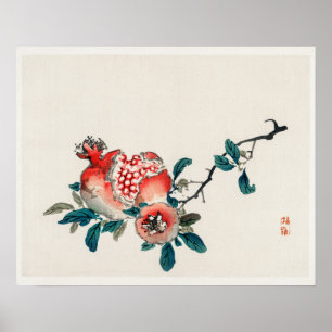Pomegranat von Kōno Bairei (1844-1895) Poster