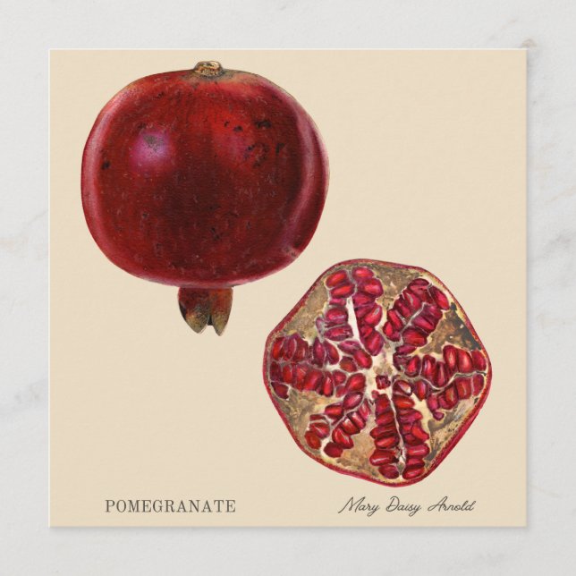Pomegranate by Mary Daisy Arnold (Vorderseite)