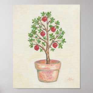 Pomegranate Tree Art Print Poster