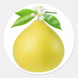 Pomelo auf Zweig Runder Aufkleber