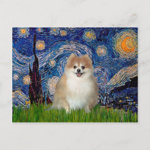 Pomeranian 1 - Sternennacht Postkarte