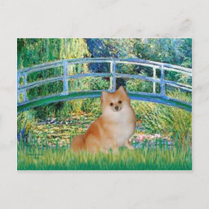 Pomeranian 3 - Brücke Postkarte