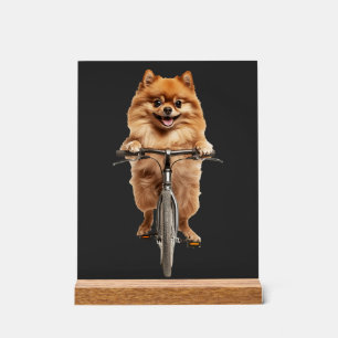 Pomeranian Acrylschild