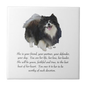 Pomeranian Andenken Hündin Fliese