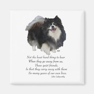 Pomeranian Andenken Hündin Magnet