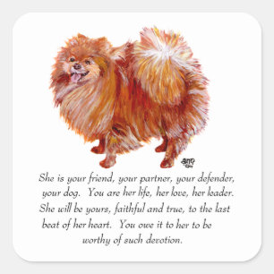Pomeranian Andenken Hündin Quadratischer Aufkleber