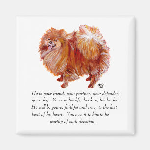 Pomeranian Andenken Rüde Magnet