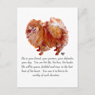 Pomeranian Andenken Rüde Postkarte