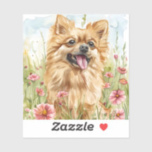 Pomeranian-Aufkleber – Wasserfarben-Design