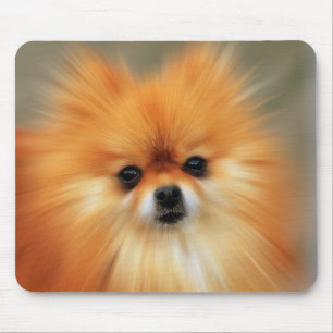 Pomeranian-Fotografie-Zoom-Geschwindigkeitskunst-P Mousepad