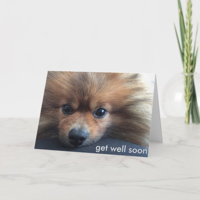 Pomeranian Get Well Soon Card Karte (Vorderseite)
