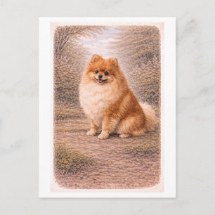 Pomeranian im Vintage-Stil Postkarte