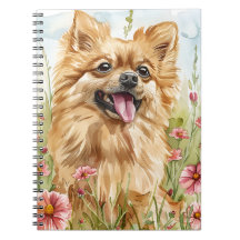 Pomeranian Journal – Notizen für die Hundemama