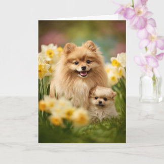 Pomeranian Mom Mother’s Day Love Karte