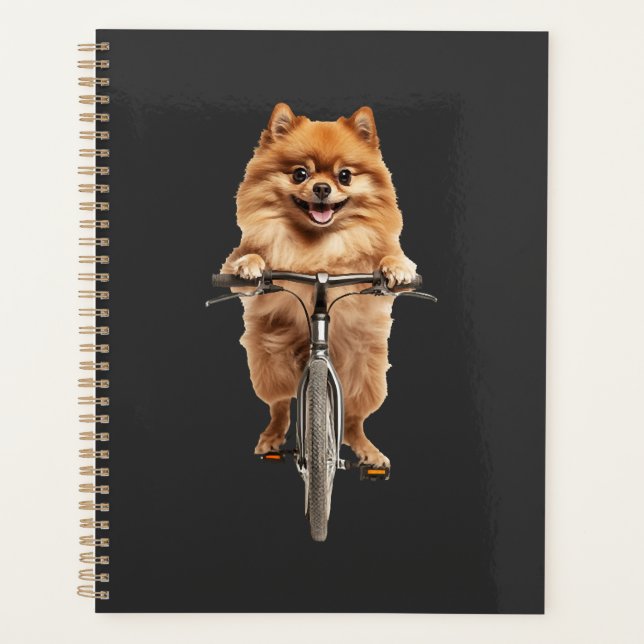 Pomeranian Planer (Vorderseite)