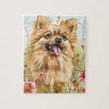 Pomeranian-Puzzle – Wasserfarben-Spaß mit Hund