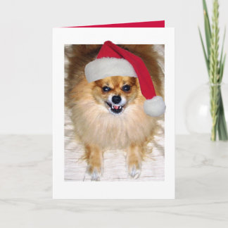 Pomeranian Santa Christmas Card Feiertagskarte
