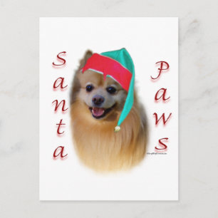 Pomeranian Santa Paws Feiertagspostkarte