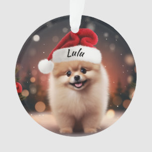 Pomeranian Weihnachtsbaumanhänger nach Maß Ornament