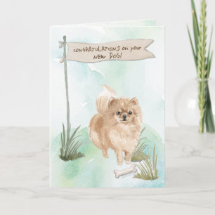 Pommeranian Herzlichen Glückwunsch zum neuen Hund Karte