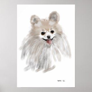 pommeranisch poster