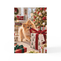 Pommern-Weihnachtskarte Pom-Feiertagskarte