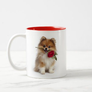 Pommersche Liebe Zweifarbige Tasse