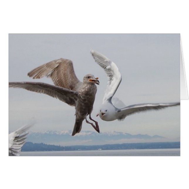 Pommes frites 2 (Vorderseite (Horizontal))